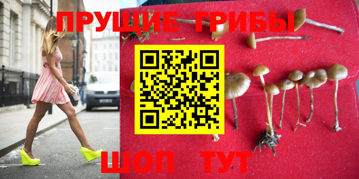 Мефедрон  Конопля  МДМА  Вход с VPN  Кузнецк  COCAIN  Меф кристаллы 