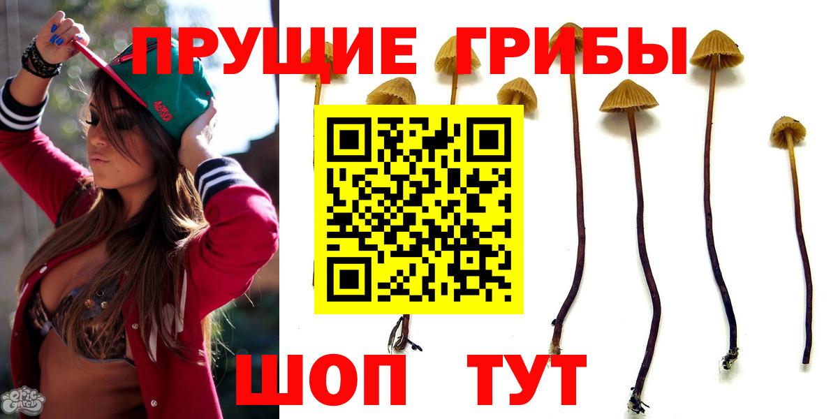Кузнецк  Галлюциногенные грибы Psilocybine cubensis  Вход с VPN  Галлюциногенные грибы мицелий 